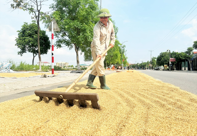 Sản xuất lúa vụ xuân và hè thu của Hà Tĩnh được mùa, được giá toàn diện. Ảnh: Thanh Nga.