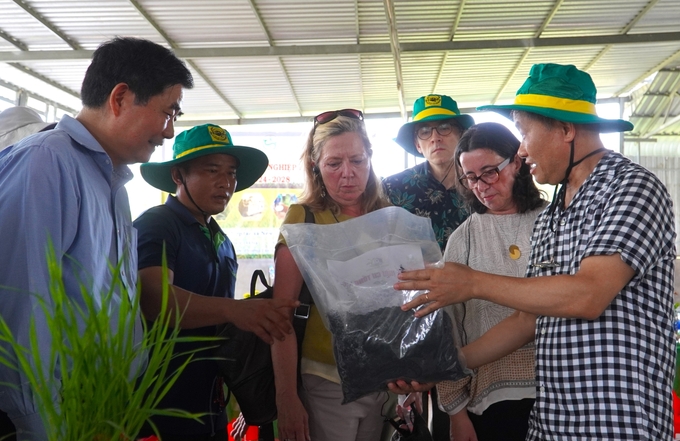 The high-quality rice production model, which repurposes post-harvest rice straw into organic fertilizer at the New Green Farm Cooperative, has attracted significant attention from stakeholders within the rice industry. Photo: Kim Anh.