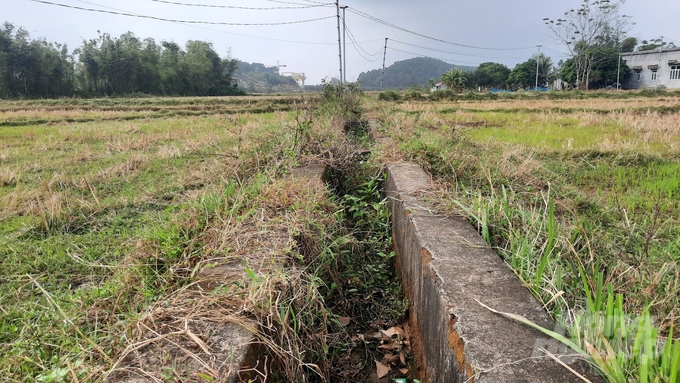 Các địa phương cần chú trọng vệ sinh đồng ruộng, khơi thông mương máng thủy lợi trước vụ đông xuân. 