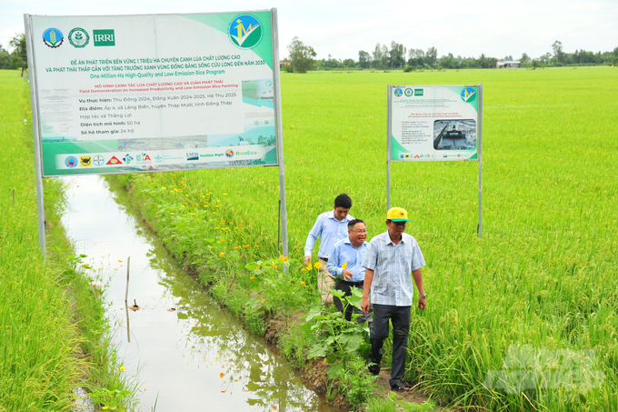 Bên cạnh đó thủy lợi đóng vai trò quan trọng trong thực hiện Đề án 'Phát triển 1 triệu ha lúa chất lượng cao, giảm phát thải'. Ảnh: Lê Hoàng Vũ.