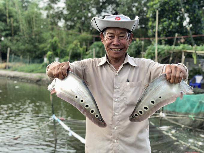 Hậu Giang chú trọng nâng cao chất lượng nông, thủy sản trong chuỗi giá trị theo hướng bền vững, sản xuất theo hướng VietGAP, Global GAP, hữu cơ... Ảnh: Kim Anh.