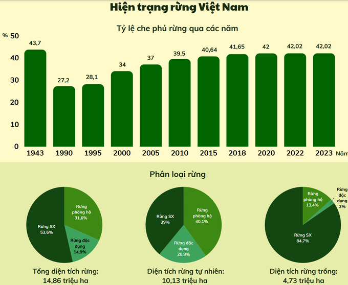 Current state of Vietnamese forests. Photo: DOF.