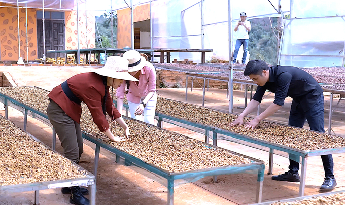 Le Van Hoang (far right) at the coffee drying and processing area in the factory. Photo: Hong Thuy.