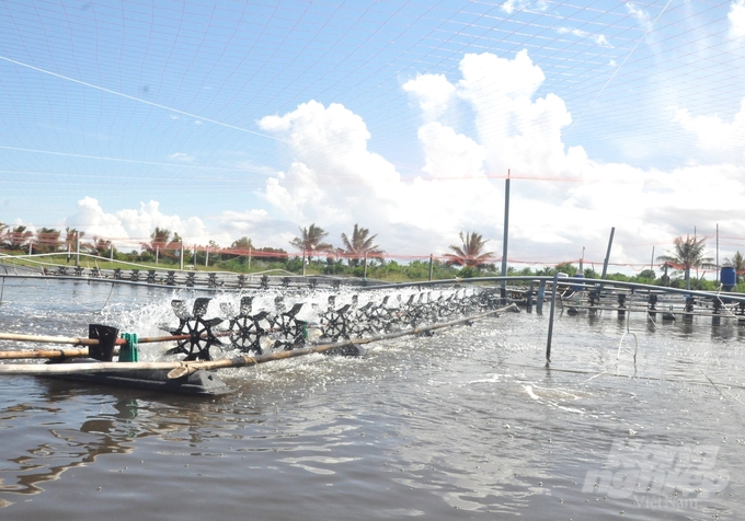 Kien Giang province’s agriculture sector encourages people to implement shrimp farming while following the Biofloc technology, the farming process with fewer water changes, or closed circulation models. The goal is to limit the discharge into the environment, avoiding the spread of disease. Photo: Trung Chanh.