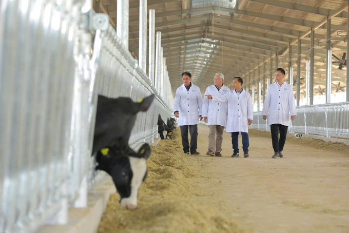 High-tech dairy farm of Yen My Hi-tech Application in Agriculture and Dairy Food Two Member Company Limited (Yen My Food Co., Ltd) in Thanh Hoa. Photo: QT.