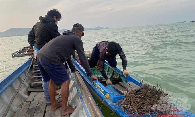 Những ngư dân chân chính phấn khởi khi tỉnh ban hành lệnh cấm. Ảnh: Trần Trung.