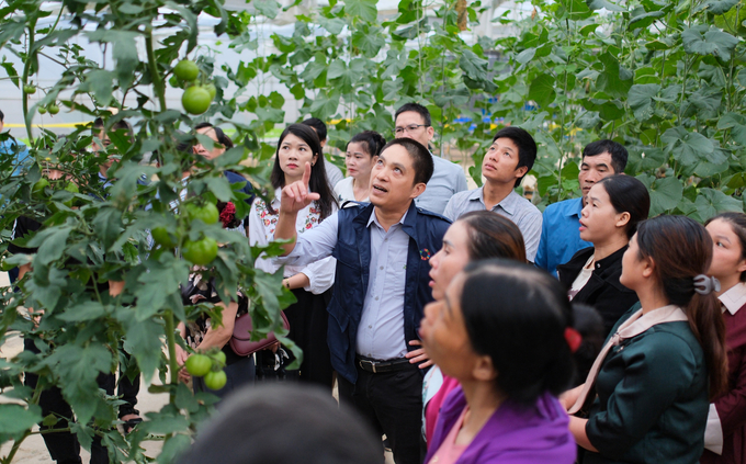 Farmers in Moc Chau district attending a technical training session on soil-free vegetable cultivation. Photo: Quynh Chi.