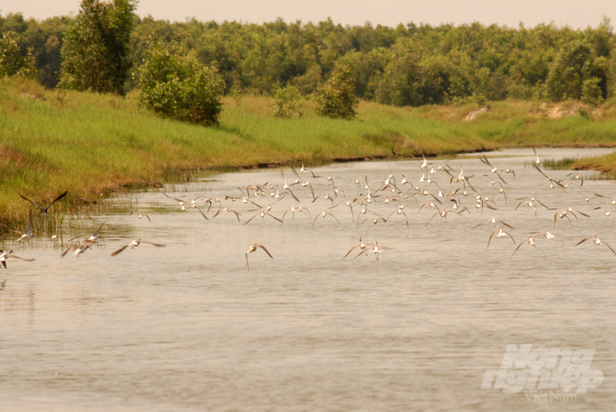 The natural agent that formed Tram Chim National Park is the seasonal dry-flood regime. Photo: Hoang Vu.