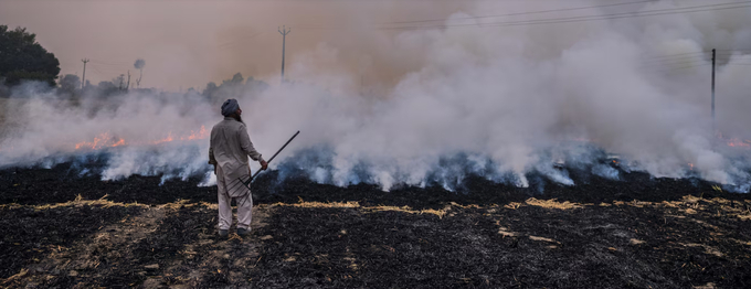 A farmworker monitors the burning of rice crop stubble in the Patiala district of Punjab, India, in November 2019. Each year, India's rice farmers burn the stubble of the harvested crop, contributing to an annual haze.