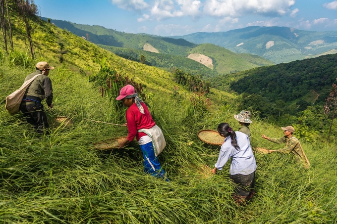 Cơ sở cho việc chuyển đổi nông nghiệp sinh thái ở ASEAN đã được xác định rõ ràng. Ảnh: Dự án ASSET.