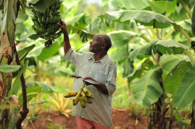 Climate change negatively impacts crop yields and food security by increasing the frequency of extreme weather events that damage crops and shifting climate patterns that affect growing seasons and water availability.