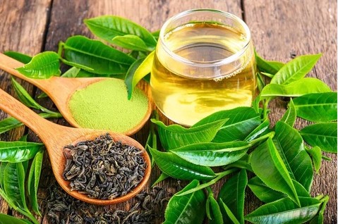 Trà xanh chứa nhiều chất dinh dưỡng có lợi cho sức khỏe và làn da, bao gồm vitamin E, polyphenol và các chất chống oxy hóa. Ảnh: Internet.