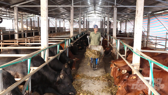 Chăn nuôi an toàn sinh học, an toàn dịch bệnh được tỉnh Thái Nguyên ưu tiên phát triển. Ảnh: Quang Linh.