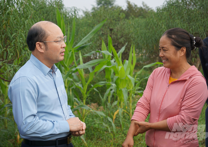 Ông Cao Văn Cường, Giám đốc Sở NN-PTNT thăm mô hình trồng đào tại huyện Triệu Sơn. Ảnh: Quốc Toản.