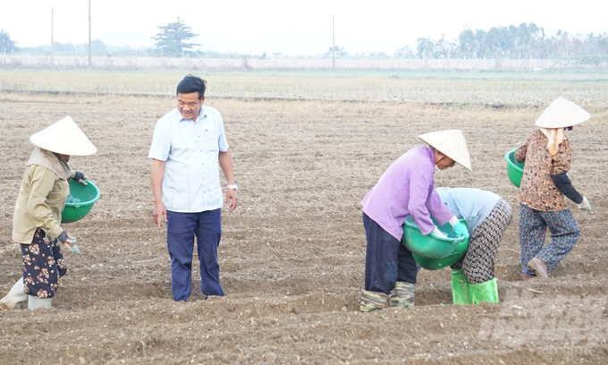 Sau nhiều năm gắn bó với nông nghiệp, ông Đạt đã liên kết với hơn 1.000 hộ dân để sản xuất nông nghiệp sạch. Ảnh: Quốc Toản.