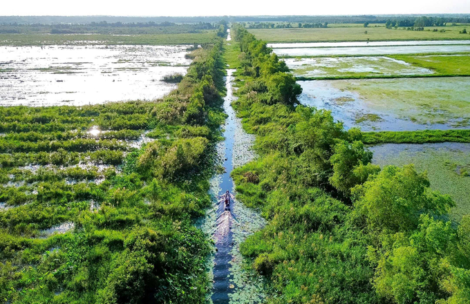 Hình ảnh rừng phát triển sau 2 năm tiến hành phục hồi. Ảnh: Báo Pháp Luật TP.HCM.