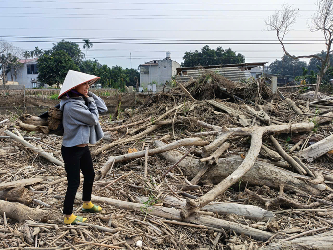 Chị Hiền một mình thu dọn gỗ, củi trên ruộng. Ảnh: Thanh Tiến.