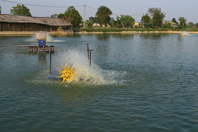 The floating pond system in Tram Phu. Photo: Duong Dinh Tuong.