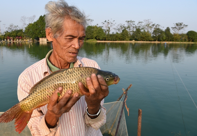 Le Xuan Bong is checking the fish. Photo: Duong Dinh Tuong.