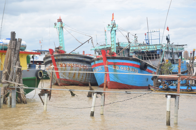 Tàu cá của ngư dân Bình Định hoạt động tại miền Nam, đây là nhóm tàu có nguy cơ cao đánh bắt vi phạm vùng biển nước ngoài. Ảnh: V.Đ.T.