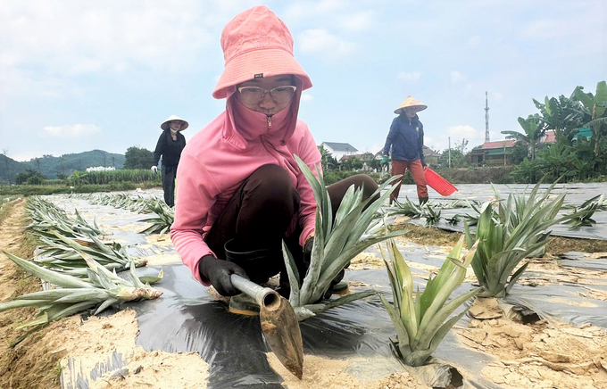 Người dân được hỗ trợ trả chậm giống, phân bón trong quá trình sản xuất. Ảnh: Thanh Nga.