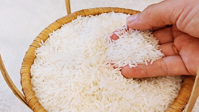 Latest rice and paddy prices update on November 26, 2024