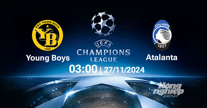 Nhận định, trực tiếp Young Boys vs Atalanta, Cúp C1 Châu Âu, 03h00 hôm nay 27/11/2024