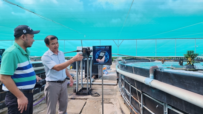 Applying technological solutions and innovations is the key to sustainable shrimp farming. Photo: Kim Anh.