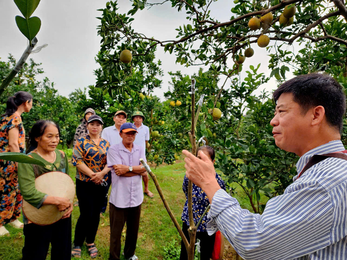 TS Vũ Việt Hưng tập huấn kỹ thuật cho bà con xã Thượng Mỗ. Ảnh: Dương Đình Tường.