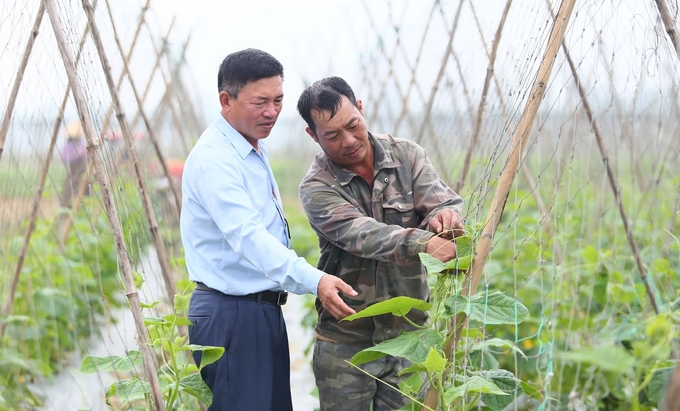 Xã bán sơn địa Minh Thành có truyền thống sản xuất vụ đông. Ảnh: Ngọc Linh.