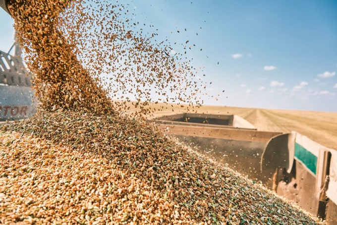 In its Nov. 25 harvest report, CBH said its network took in over 620,000 tonnes of grain on Nov. 18, surpassing the previous mark of 602,000 tonnes set on Dec. 2, 2022. 