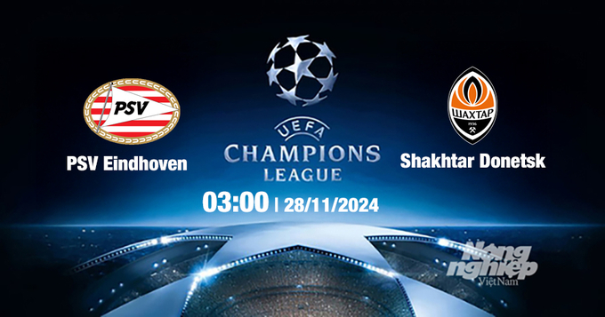 Nhận định, trực tiếp PSV vs Shaktar Donetsk, Cúp C1 Châu Âu, 03h00 hôm nay 28/11/2024