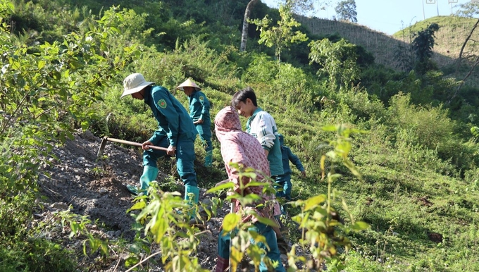 Bảo vệ và phát triển rừng là nhiệm vụ của toàn dân. Ảnh: Đức Bình.