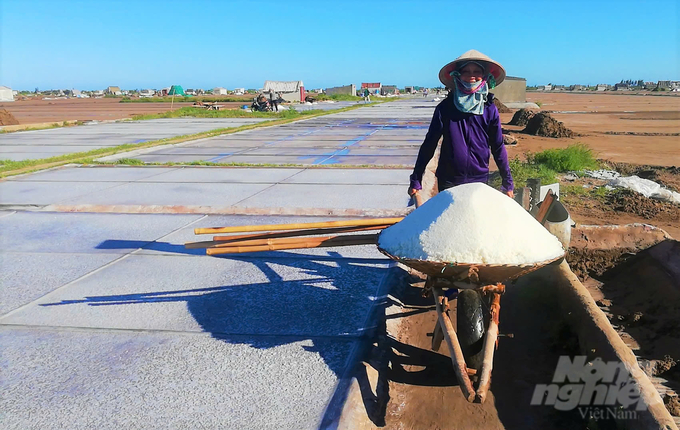 Sản xuất muối sạch trên cánh đồng muối Bạch Long (Giao Thủy, Nam Định). Ảnh: Kiên Trung.