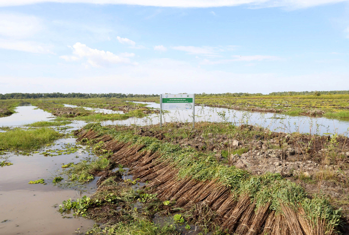 The 17-hectare cajuput forest area at the time it required restoration, photographed on December 22, 2022.