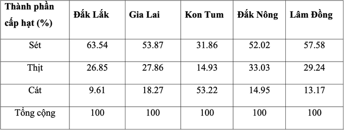 Thành phần cơ giới 3 cấp trong vườn cà phê. Nguồn: Công ty Cổ phần Phân bón Bình Điền năm 2023.