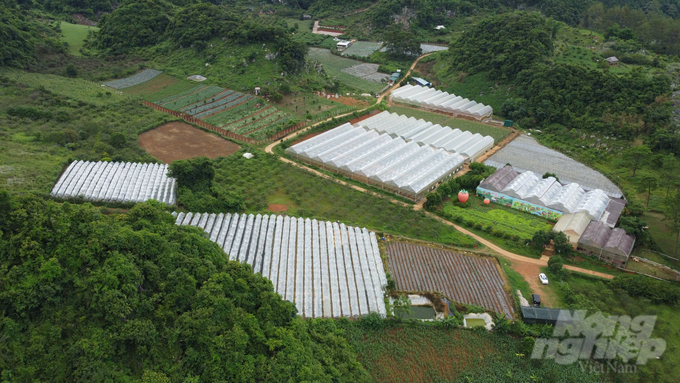 Nông trại LamSon Farm Mộc Châu, tại xã Đông Sang, huyện Mộc Châu. Ảnh: Quang Dũng.