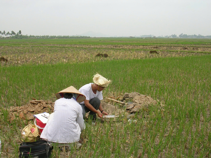 Đào đất để lấy mẫu, kiểm tra chất lượng.