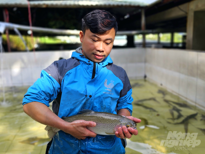 Nuôi cá nước lạnh. Ảnh: Hải Đăng.