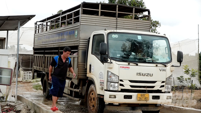 Nhiều trại heo trên địa bàn tỉnh Đồng Nai đang nuôi gia công cho doanh nghiệp đã đầu tư ứng dụng công nghệ vào quy trình chăn nuôi cũng như hệ thống xử lý chất thải nhằm đáp ứng yêu cầu về bảo vệ môi trường. Ảnh: Minh Sáng.