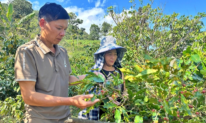 Trưởng bản Tòng Văn Dung (bên trái) ở bản Phổng, xã Nậm Lạnh. Ảnh: Đức Bình.