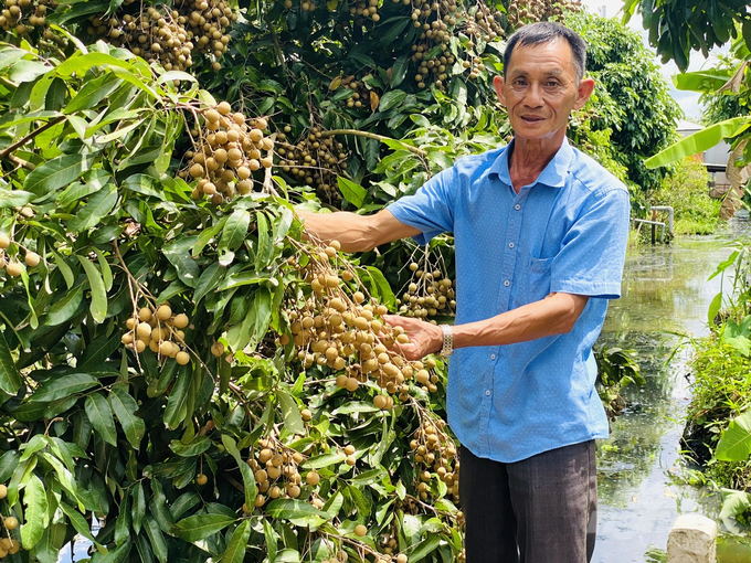 TP Cần Thơ tiếp tục khẳng định vai trò trung tâm kết nối giữa các tỉnh, thành trong cả nước, đặc biệt là khu vực ĐBSCL, thông qua các chương trình phối hợp và chuỗi cung ứng thực phẩm an toàn. Ảnh: Lê Hoàng Vũ.