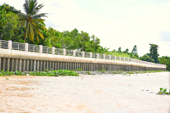 Công trình kè chống sạt lở đầu cồn Tân Phong (huyện Cai Lậy, tỉnh Tiền Giang). Ảnh: Minh Đảm.