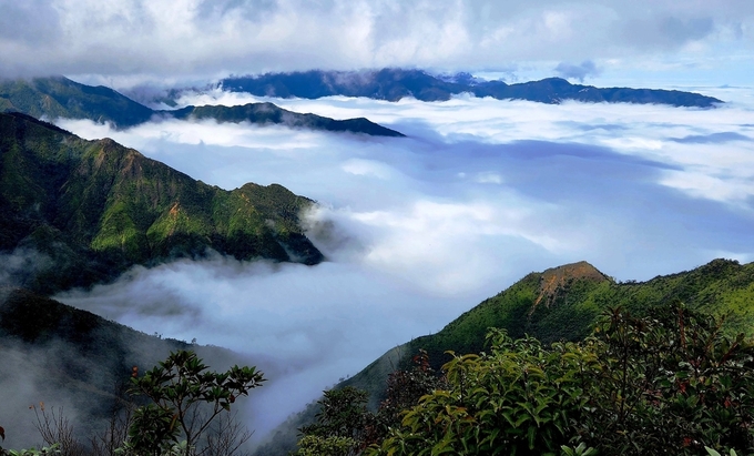 Tà Xùa - một trong những đỉnh núi cao nhất Việt Nam, thuộc huyện Bắc Yên (Sơn La) giáp với huyện Trạm Tấu (Yên Bái). Ảnh: Nhật Quang.