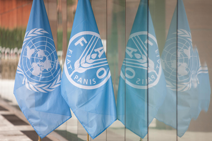 Flags at the entrance of the FAO Headquarters building.