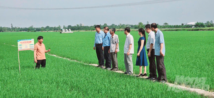 Đoàn đại biểu, lãnh đạo chính quyền địa phương xã Thạnh Lộc tham quan cánh đồng sản xuất lúa giống của HTX Green Vina TG khi đã xuống giống được khoảng 20 ngày. Ảnh: Minh Sáng.