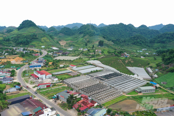 Vùng nông sản bạt ngàn trên cao nguyên Mộc Châu. Ảnh: Hoàng Anh.