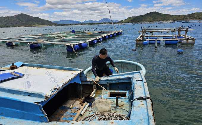 Để nuôi trồng thủy sản bền vững, tỉnh Phú Yên sắp xếp lại vùng, lồng bè để phù hợp với sức tải môi trường. Ảnh: KS.