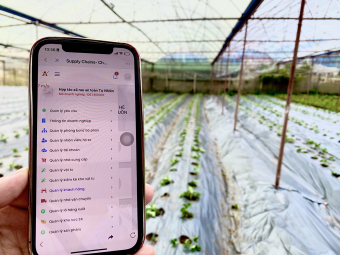 Phần mềm quản lý sản xuất và truy xuất nguồn gốc của HTX Rau an toàn Tự Nhiên. Ảnh: T.Thành.