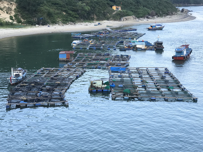 Lồng bè nuôi trồng thủy sản trong đầm Đề Gi thuộc xã Cát Khánh (huyện Phù Cát, Bình Định). Ảnh: V.Đ.T.